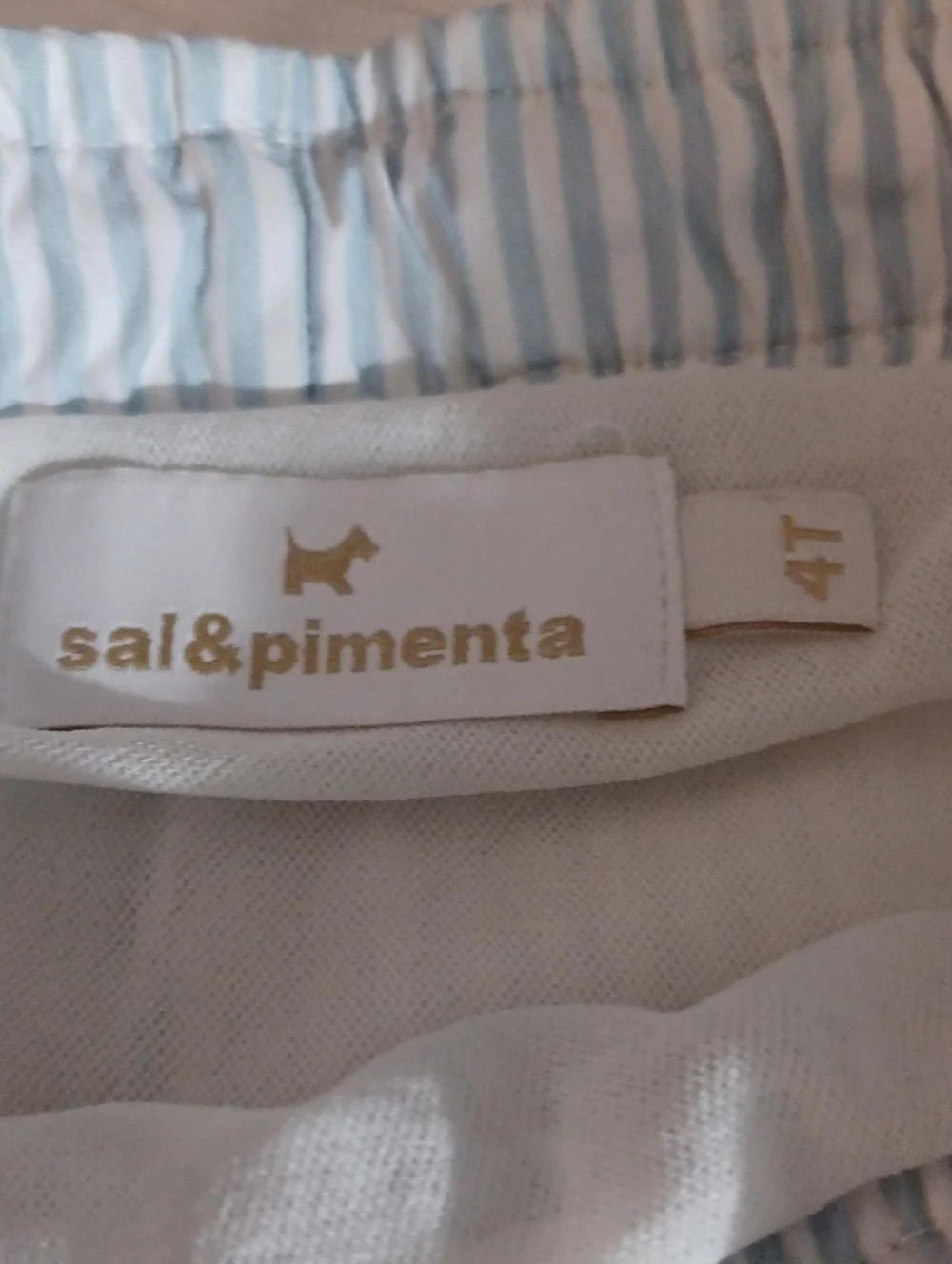 Sal & Pimenta Boys Swim Trunks Sz4t